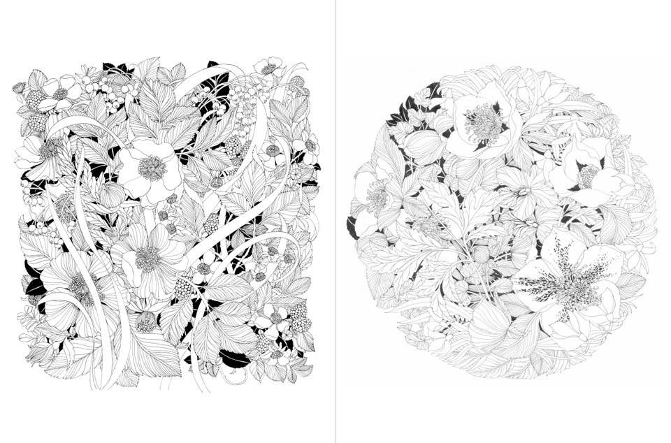Leila Duly's Walk in the Woods - Colouring Book