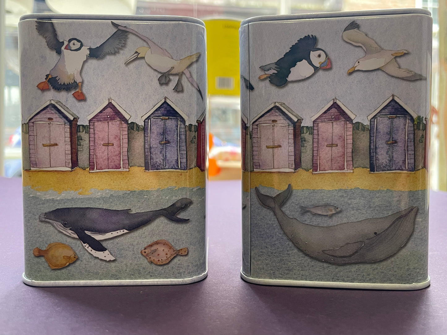 Sealife Money Box