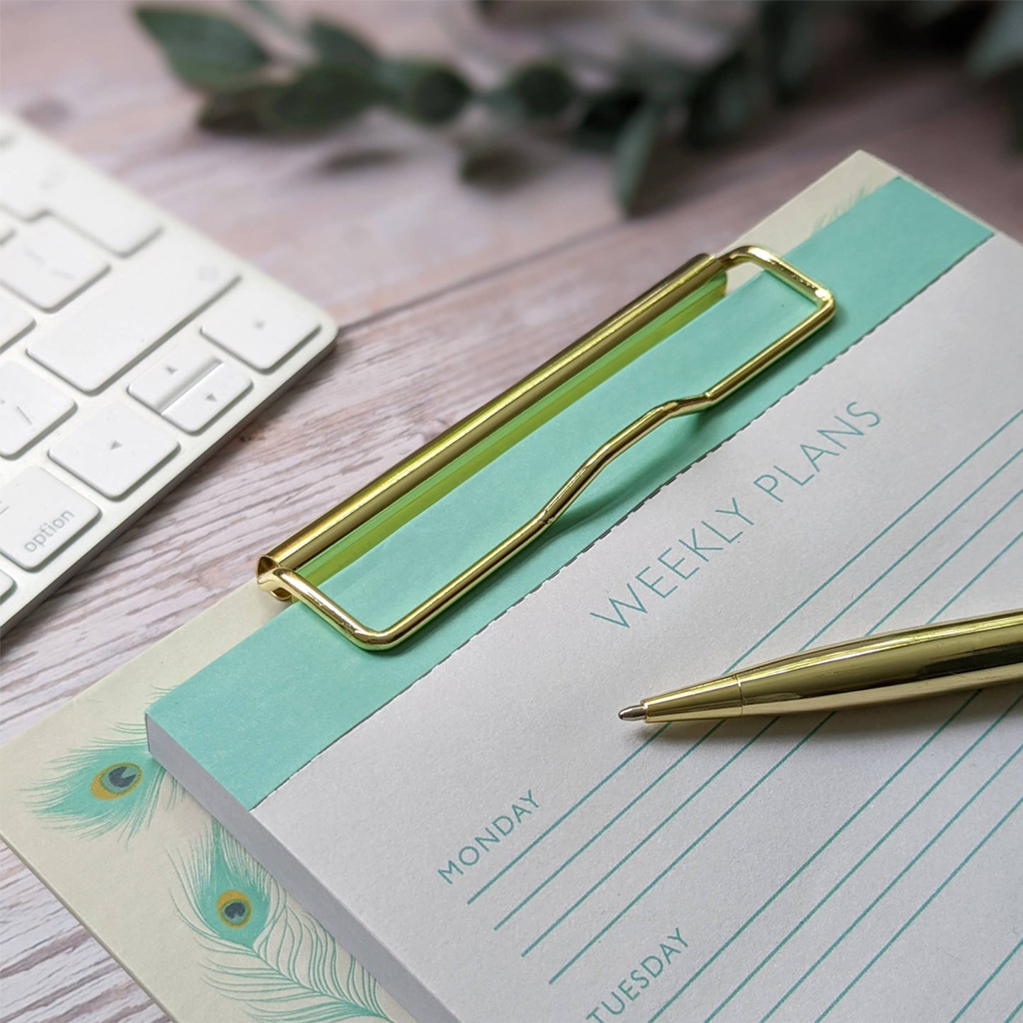 Small Clipboard Set - Peacock Feathers