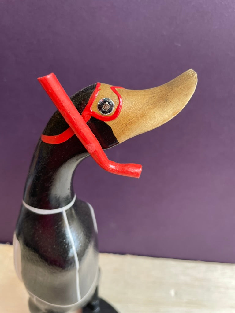 Snorkel Duck