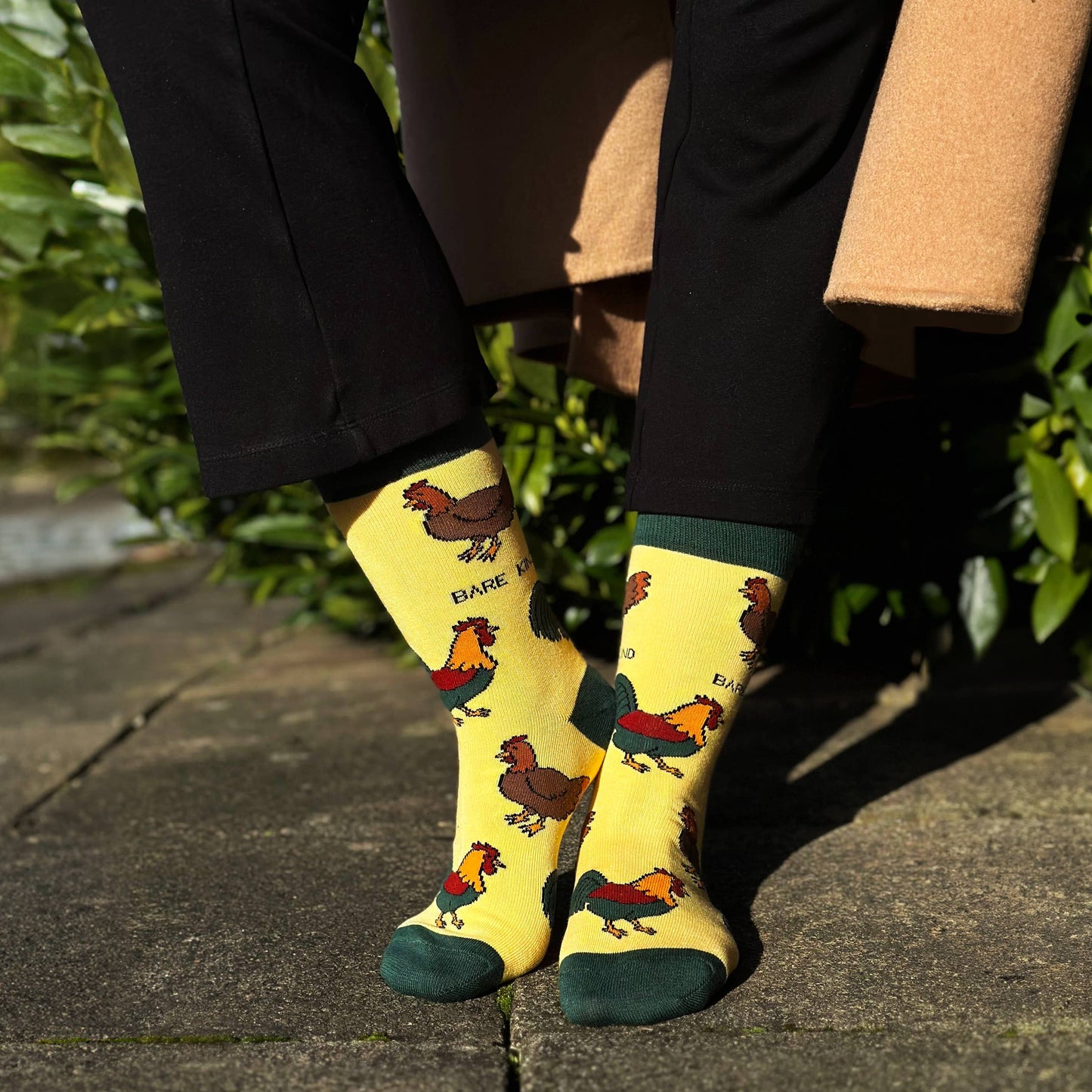 Bamboo Socks - Chickens