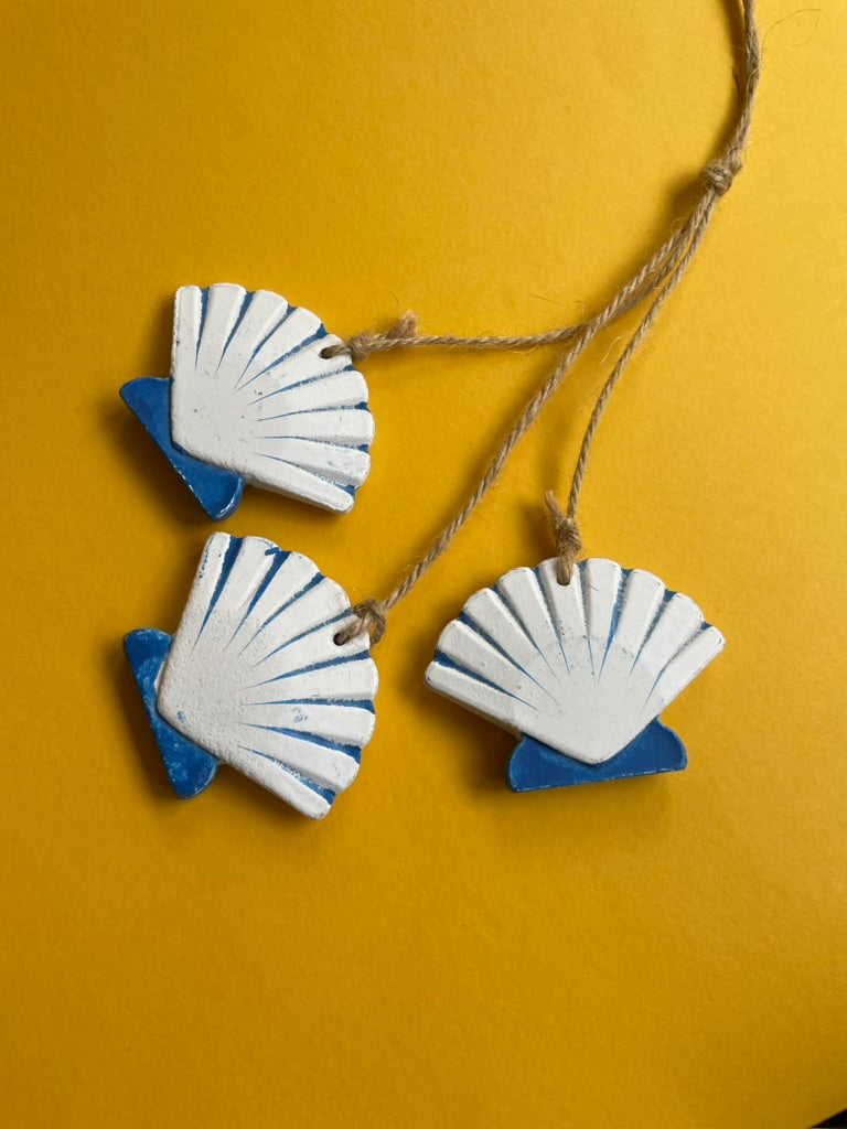 Trio of Shells