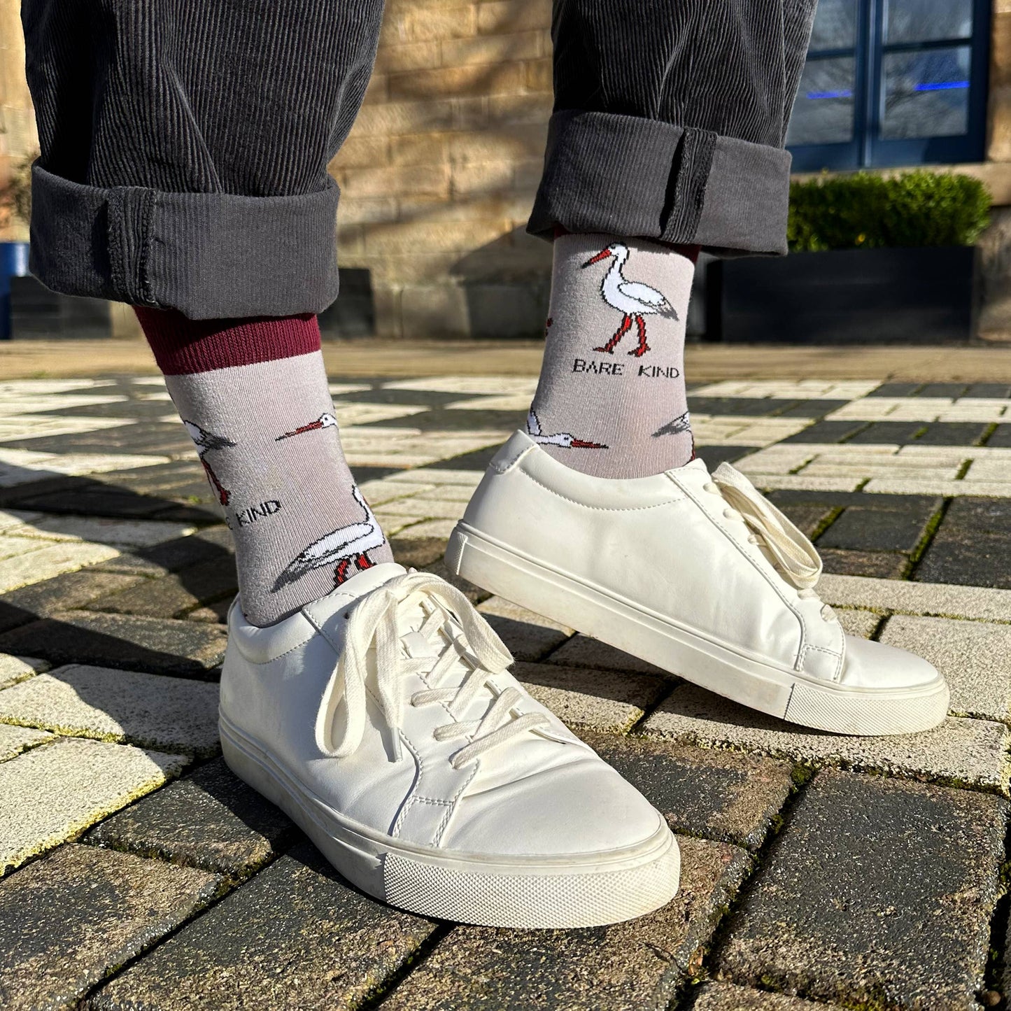 Bamboo Socks - Storks
