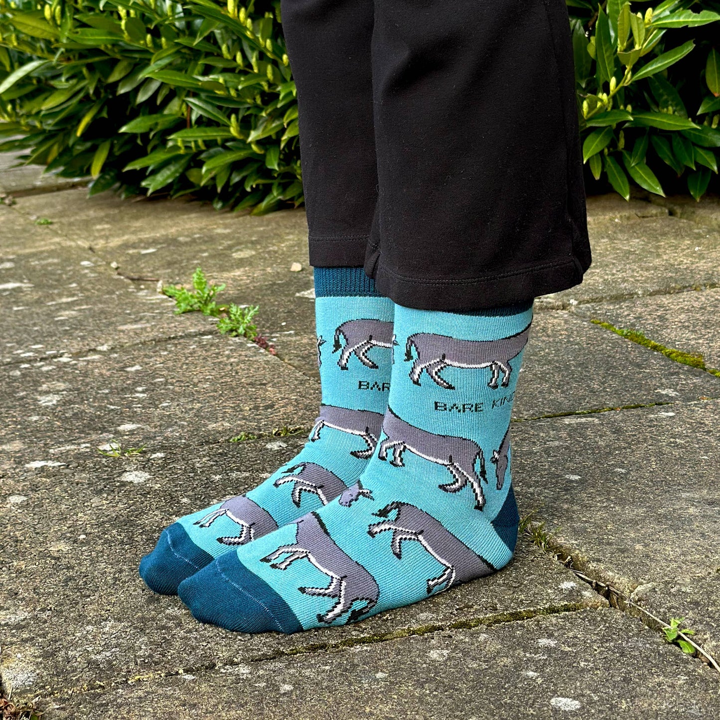 Bamboo Socks - Donkeys