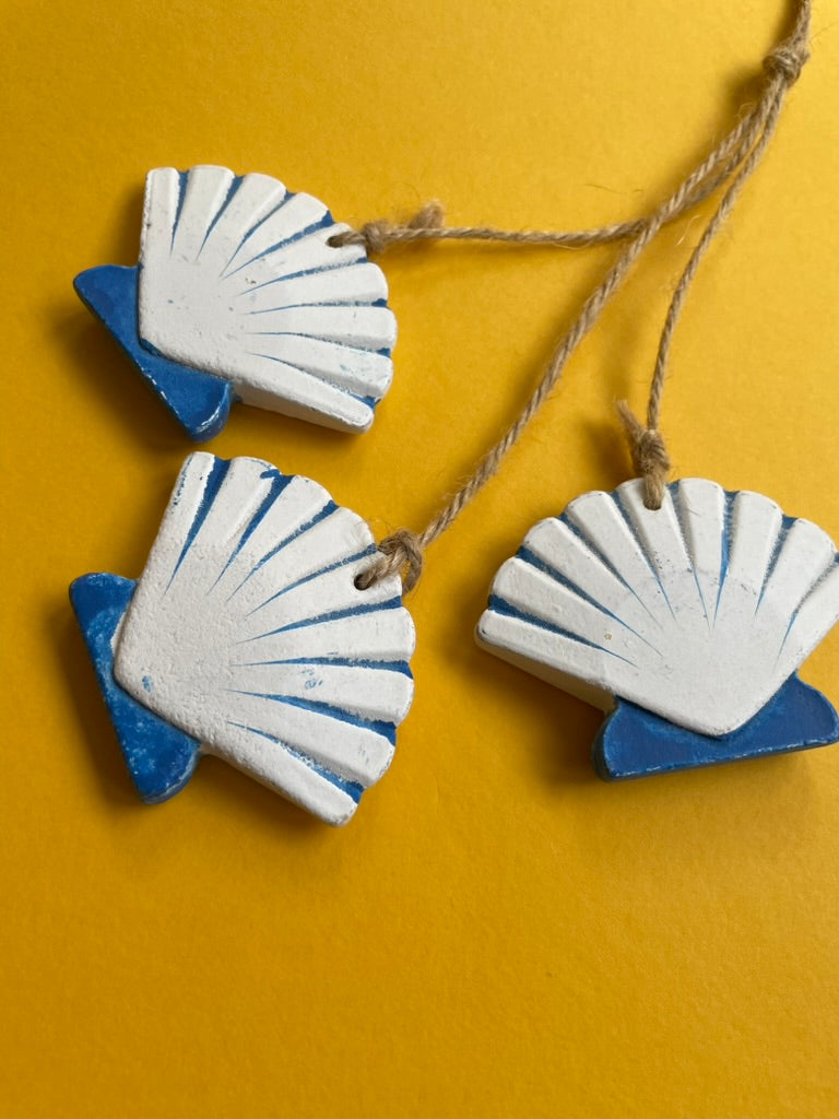Trio of Shells
