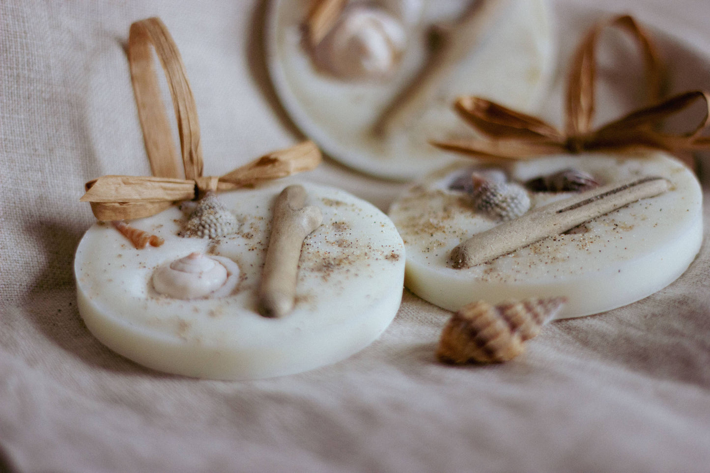 Beach & Coastal Scented Decoration/Wax Melt