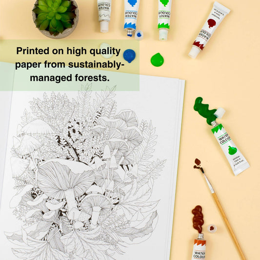 Leila Duly's Walk in the Woods - Colouring Book