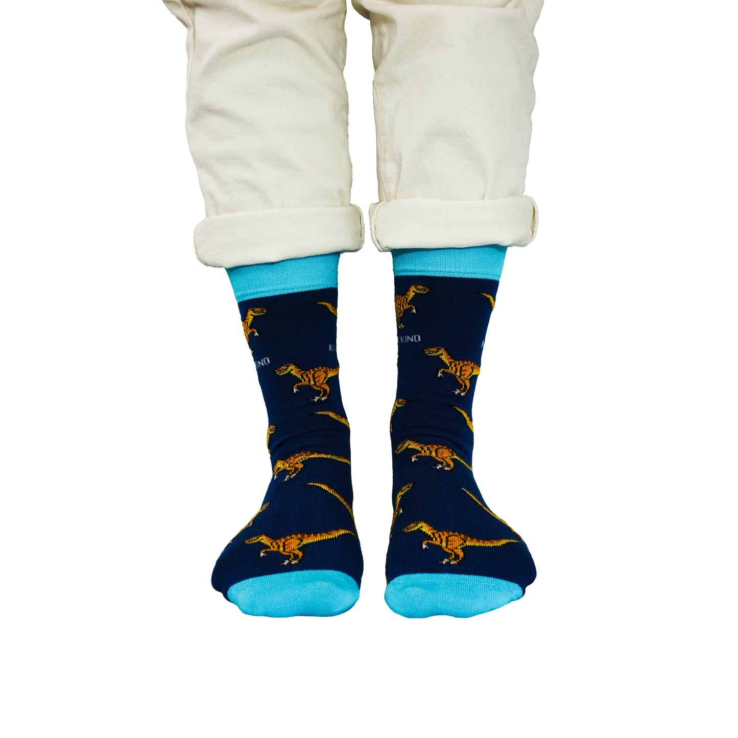 Bamboo Socks - Velociraptors