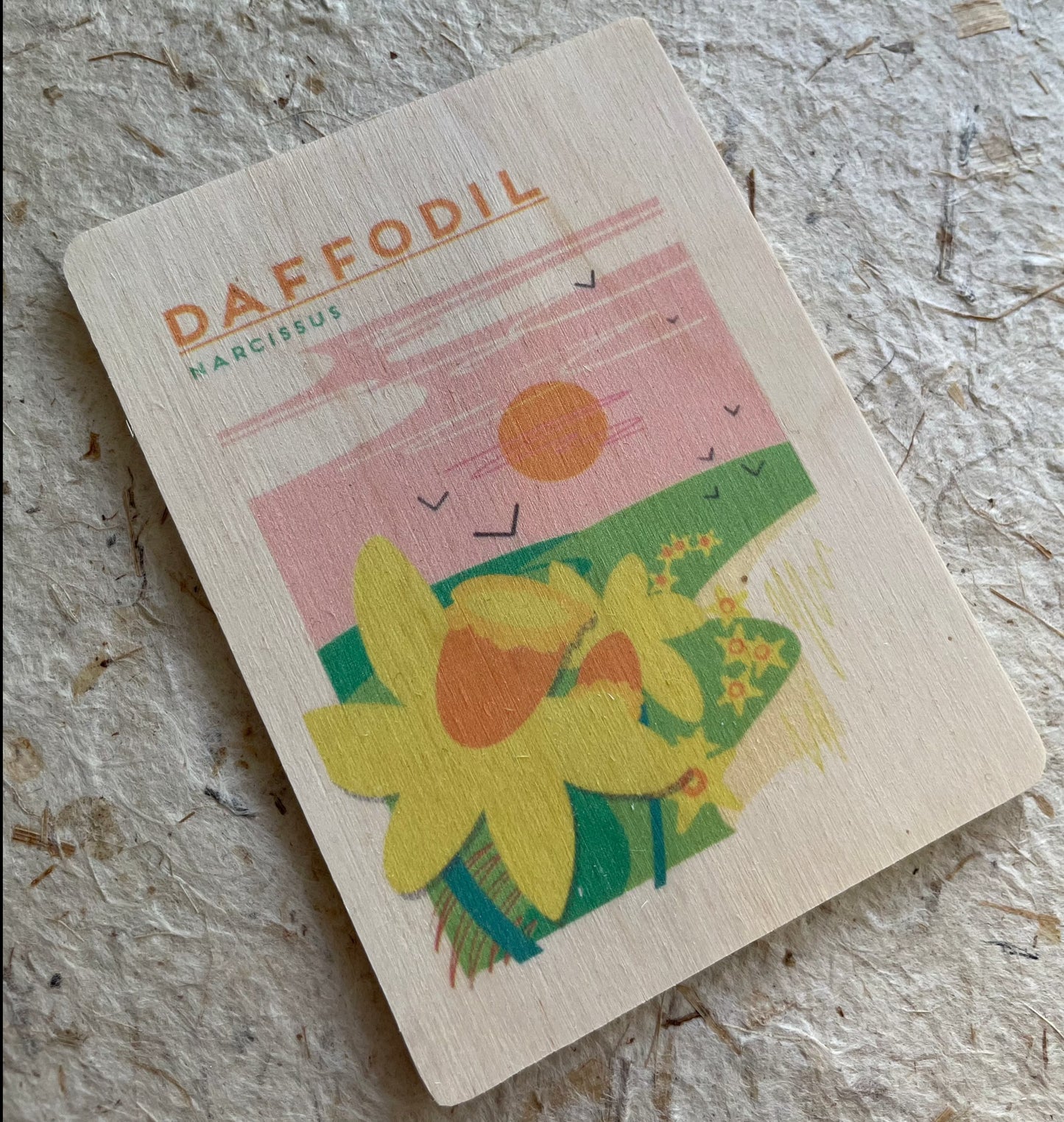 DAFFODIL Magnet