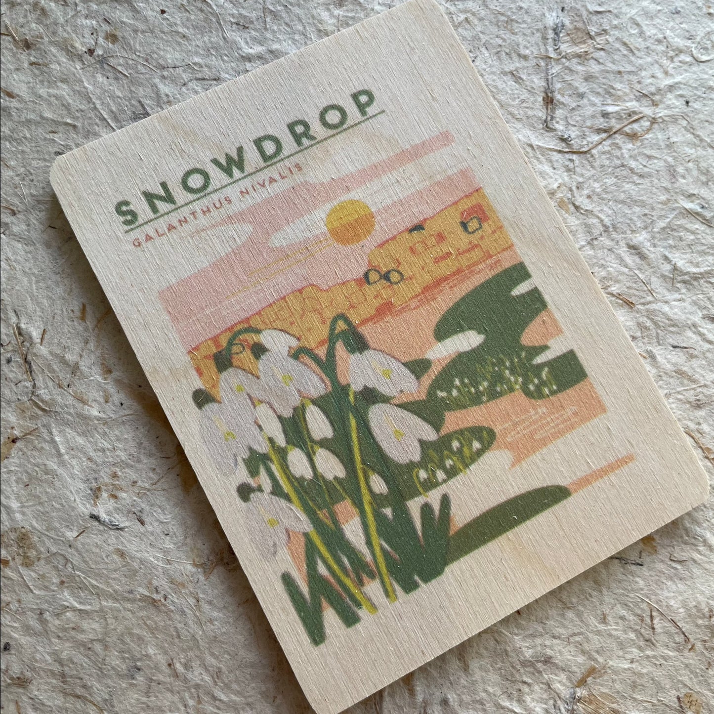 SNOWDROP Magnet