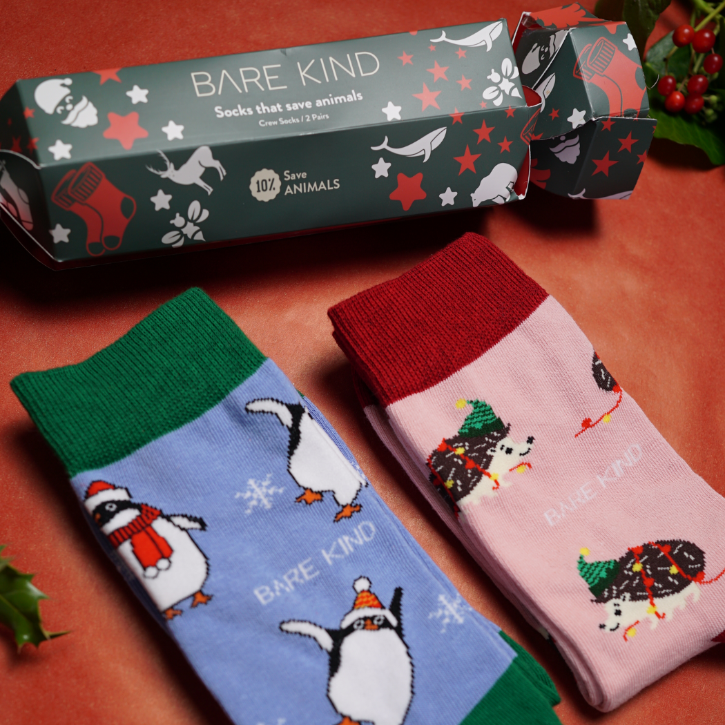 Bamboo Socks - Christmas Cracker - Hedgehog & Penguin