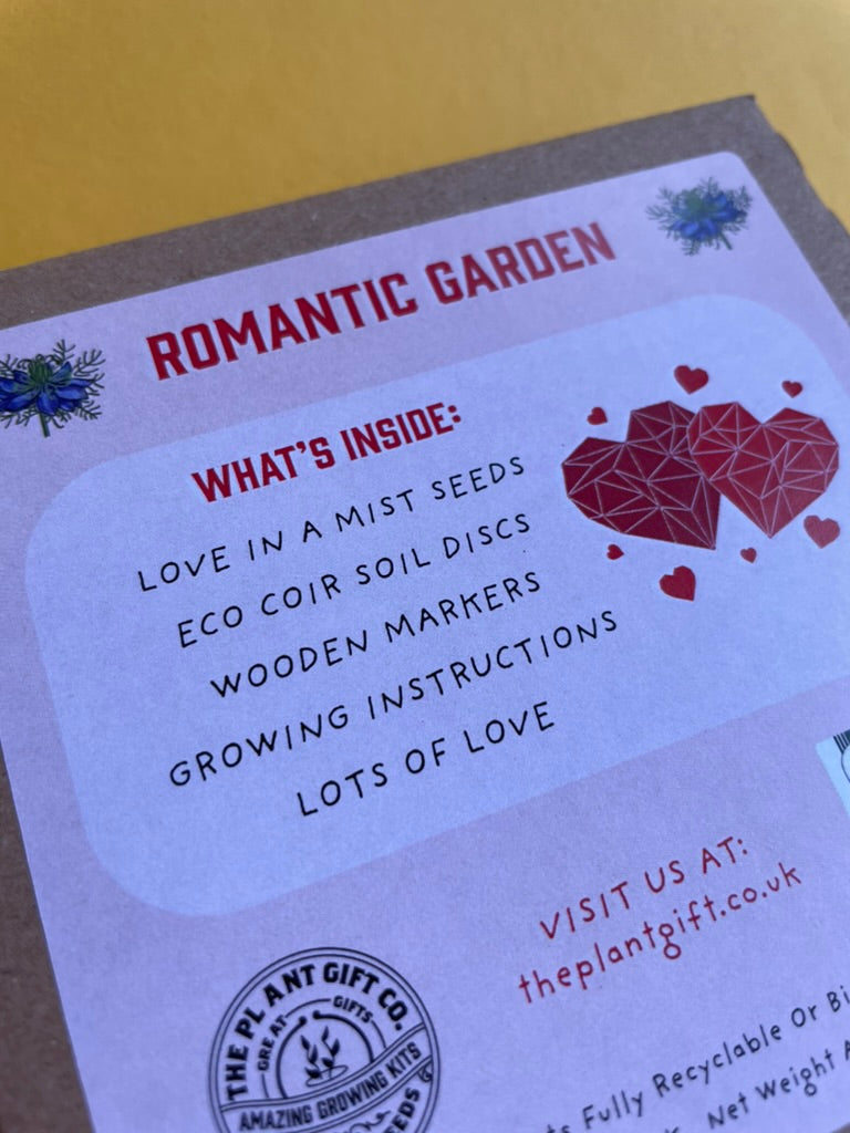 Romantic Garden - Eco Mini Plant Grow Kit