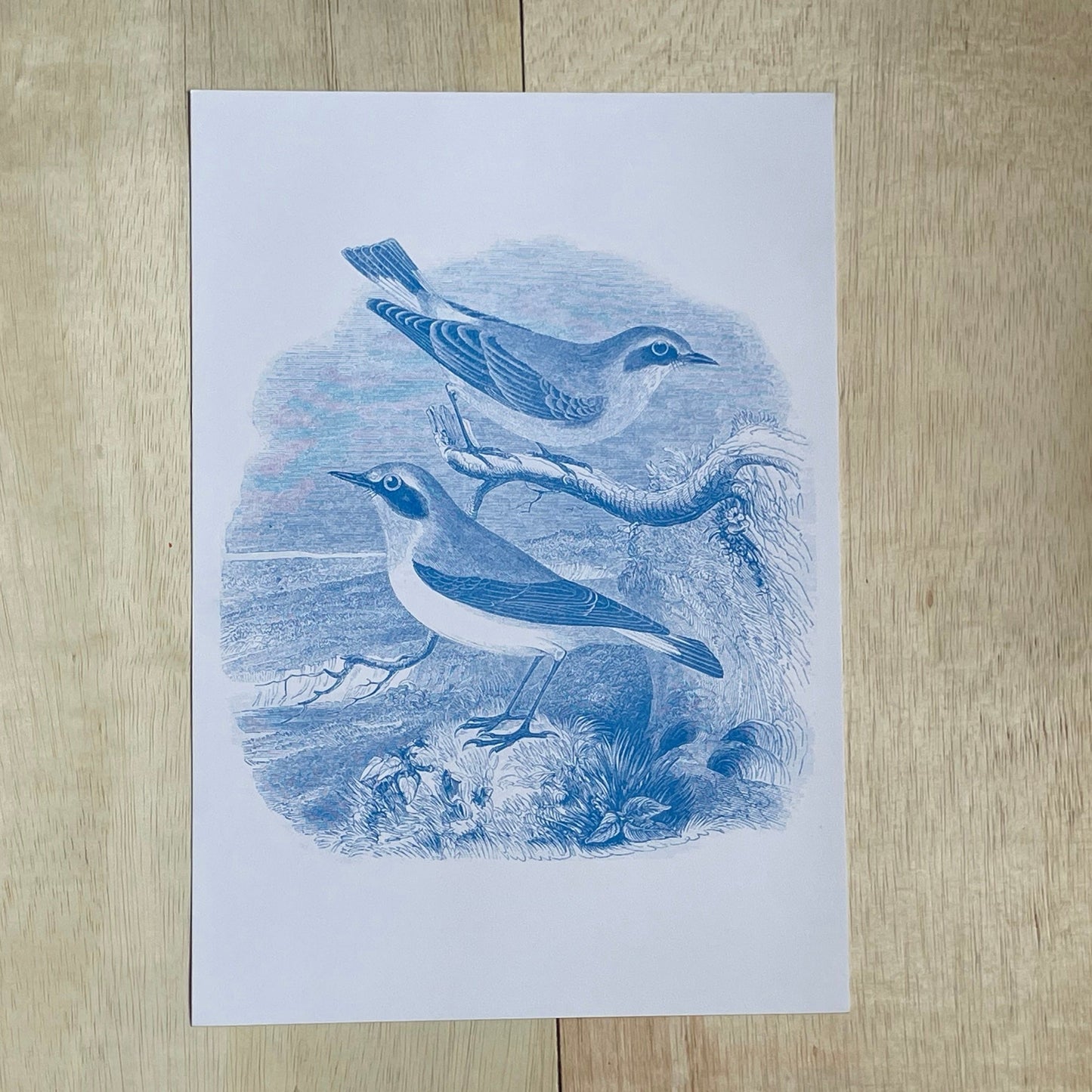 Bird Print