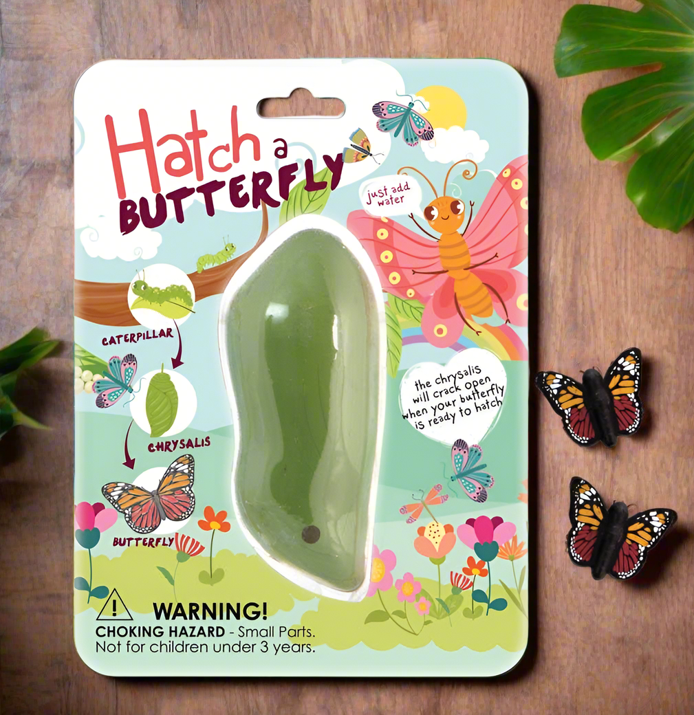 Hatch A Butterfly