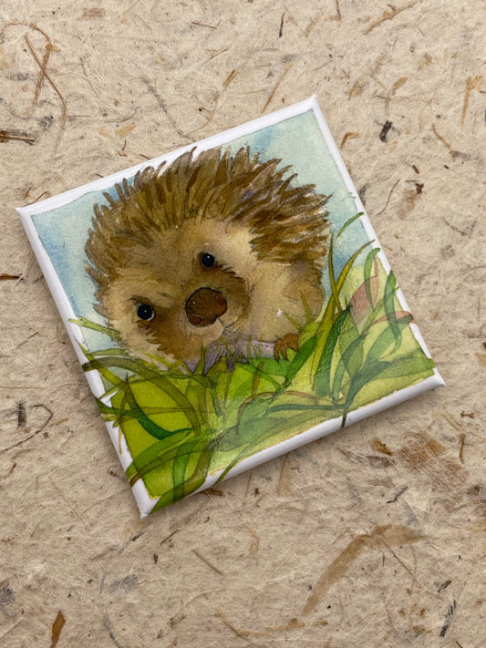 Hedgehog Magnet