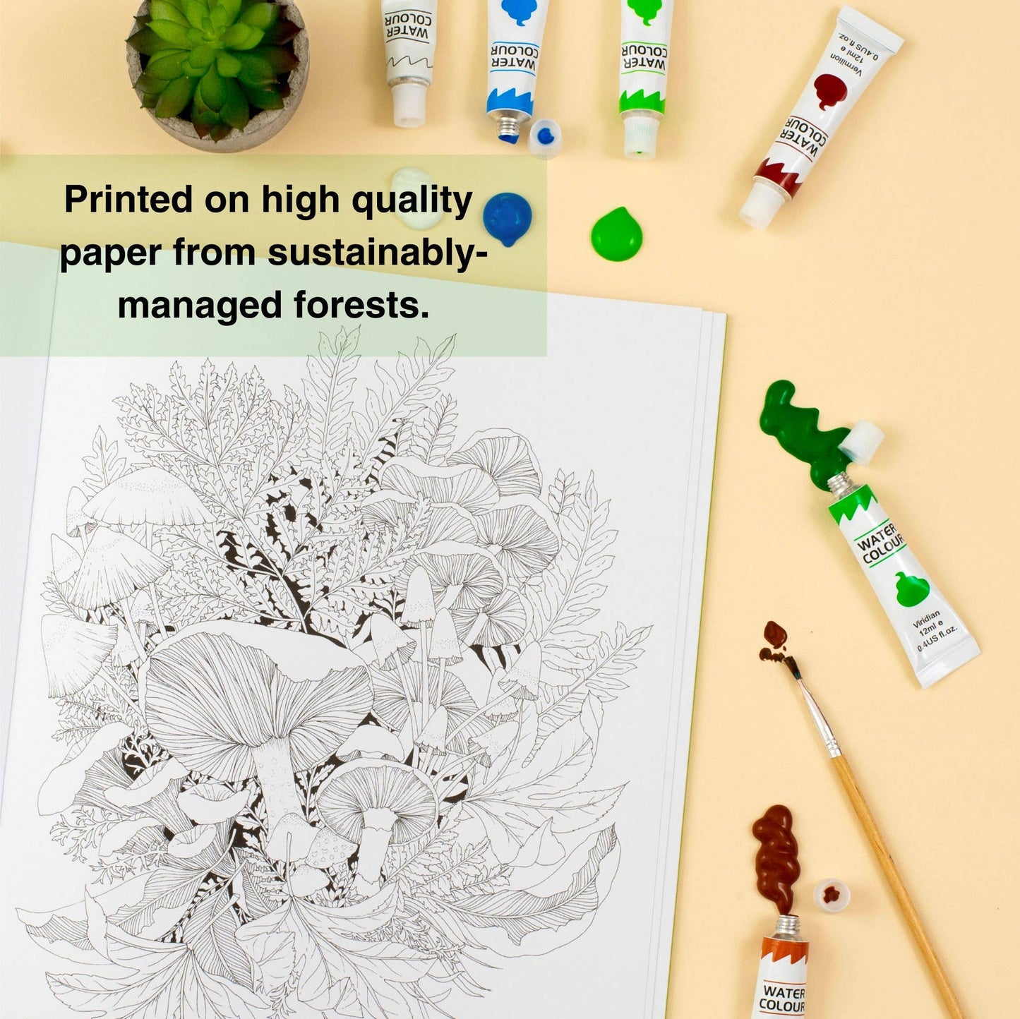 Leila Duly's Walk in the Woods - Colouring Book